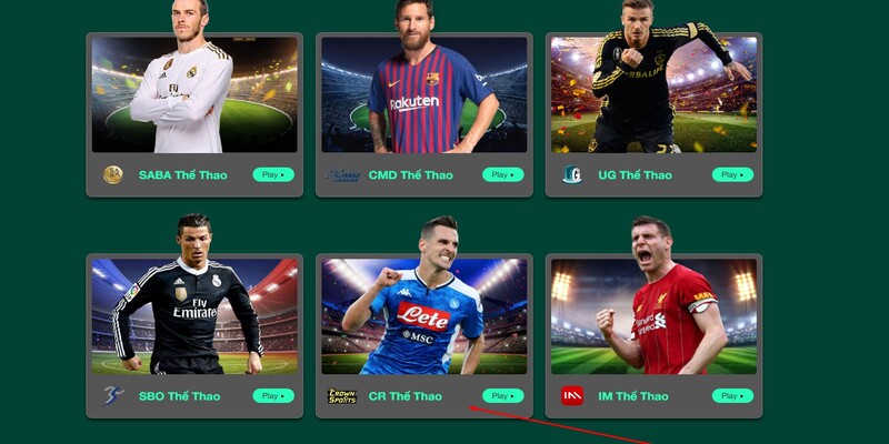 Giới thiệu tổng quan thông tin chung về sảnh thể thao online