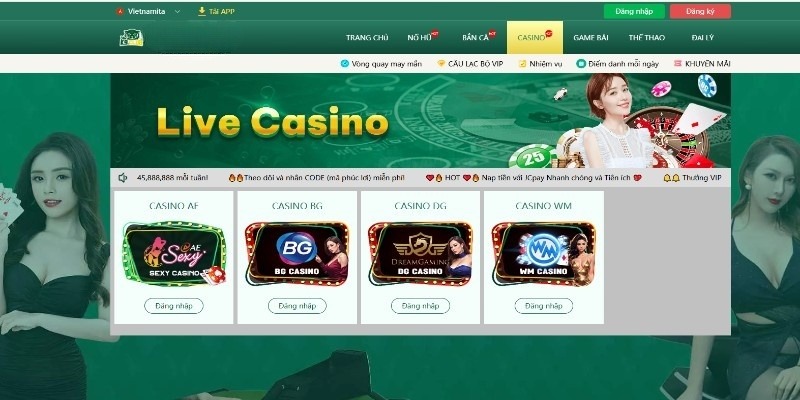Giới thiệu dịch vụ cá cược casino đẳng cấp
