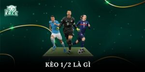 kèo 1/2 là gì