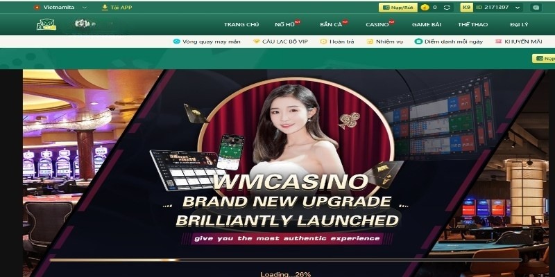 Lưu ý khi sử dụng dịch vụ cá cược casino