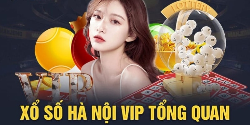 Giới thiệu qua thông tin về hình thức Hà Nội VIP